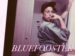 BLUEFOOSTER