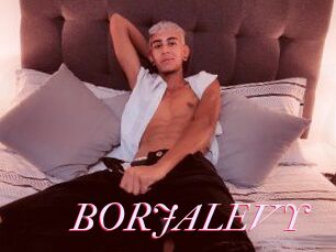 BORJALEVY