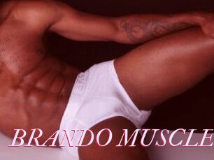 BRANDO_MUSCLET