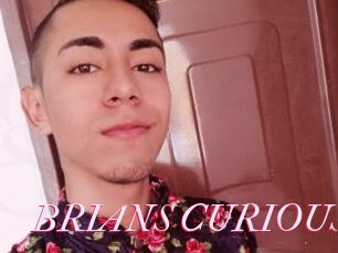 BRIANS_CURIOUS