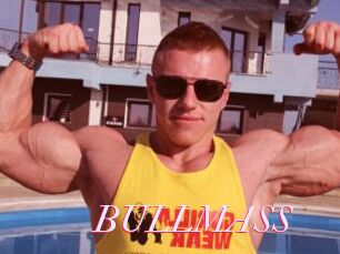 BULLMASS