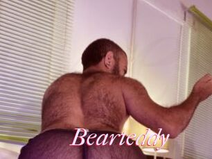 Bearteddy