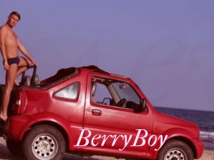 BerryBoy