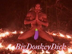BigDonkeyDick