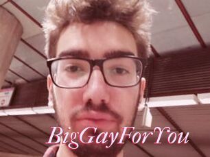 BigGayForYou
