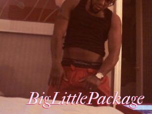 BigLittlePackage