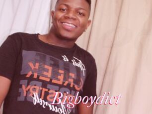 Bigboydict