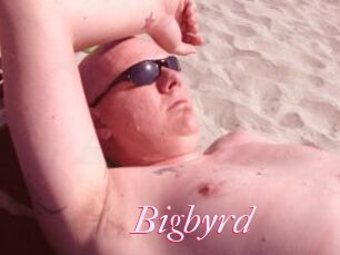 Bigbyrd