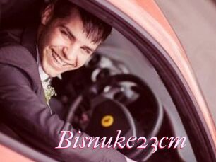 Bisnuke23cm