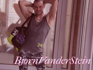 BjornVanderStein