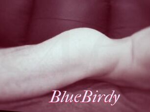 BlueBirdy