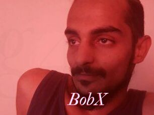 BobX
