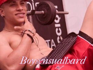 Boysensualhard