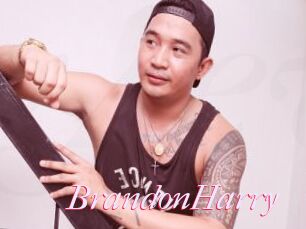 BrandonHarry
