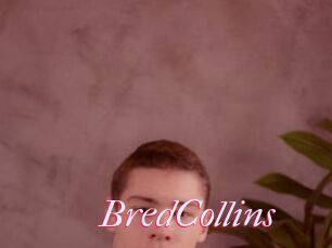 BredCollins