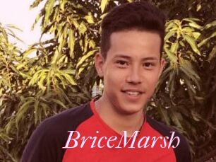 BriceMarsh