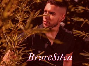 BruceSilva