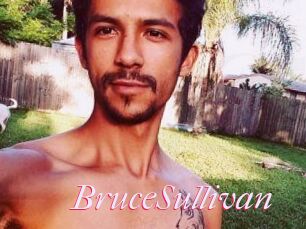Bruce_Sullivan