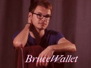 BruceWallet