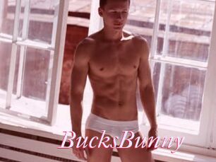 BucksBunny