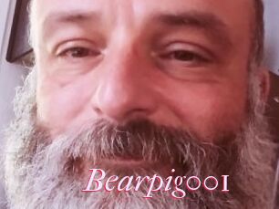Bearpig001