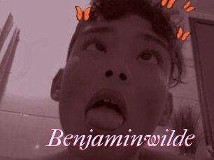 Benjaminwilde