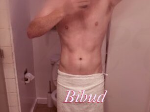 Bibud