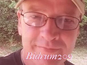 Bidrum209