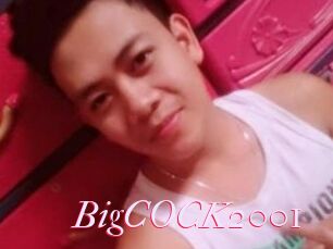 BigCOCK2001