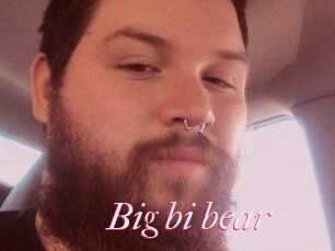 Big_bi_bear