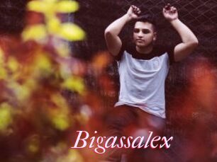 Bigassalex