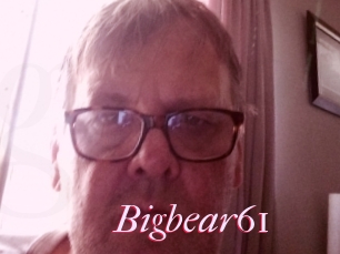 Bigbear61