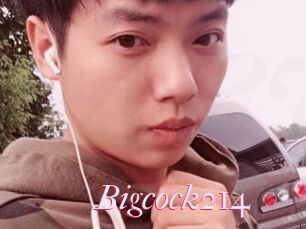 Bigcock214