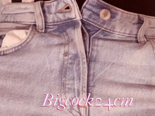 Bigcock24cm