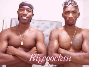 Bigcoocksu