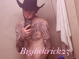 Bigdickrick23