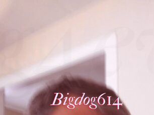 Bigdog614