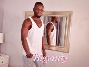 Bigsanty