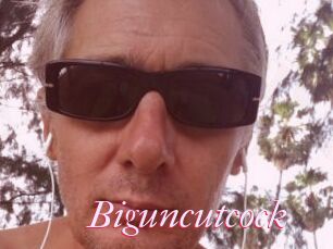Biguncutcock