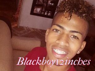 Blackboy12inches