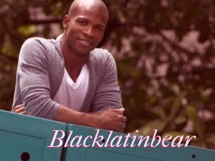 Blacklatinbear