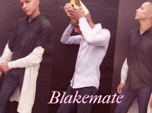 Blakemate