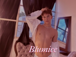 Blumice