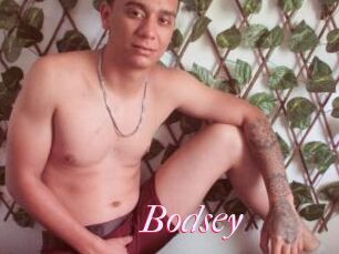 Bodsey