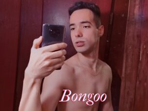 Bongoo