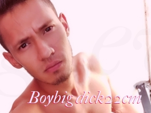 Boybig_dick22cm
