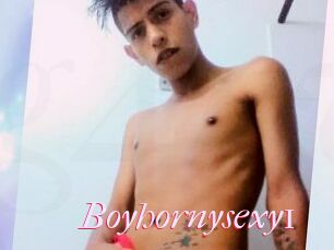 Boyhornysexy1