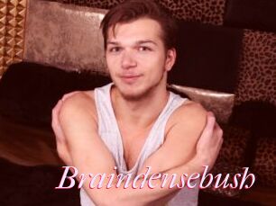 Braindensebush