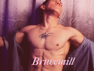 Brucemill