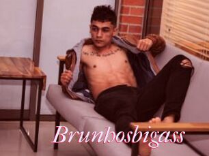 Brunhosbigass